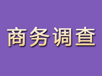 秀城商务调查